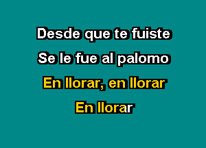 Desde que te fuiste

Se le fue al palomo

En llorar, en llorar

En llorar