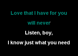 Love that I have for you
will never

Listen, boy,

I know just what you need