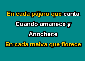 En cada pajaro que canta

Cuando amanece y
Anochece

En cada malva que florece