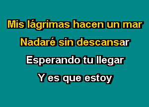 Mis lagrimas hacen un mar
Nadargz sin descansar
Esperando tu llegar

Y es que estoy