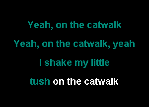 Yeah, on the catwalk
Yeah, on the catwalk, yeah

I shake my little

tush on the catwalk