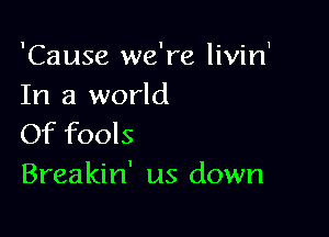'Cause we're livin'
In a world

Of fools
Breakin' us down