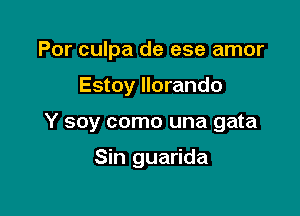 Por culpa de ese amor
Estoy llorando

Y soy como una gata

Sin guarida