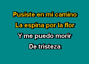 Pusiste en mi camino

La espina por la flor

Y me puedo morir

De tristeza