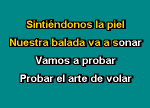 Sintitgzndonos la piel
Nuestra balada va a sonar
Vamos a probar

Probar el arte de volar