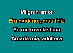 Mi gran amor
Era evidente, eras feliz

Yo me tuve lastima

Amada mia, adultera