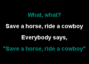 What, what?
Save a horse, ride a cowboy

Everybody says,

Save a horse, ride a cowboy