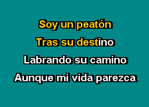 Soy un peatdn
Tras su destino

Labrando su camino

Aunque mi vida parezca