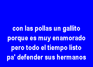 con las pollas un gallito
porque es muy enamorado

pero todo el tiempo listo
pa' defender sus hermanos