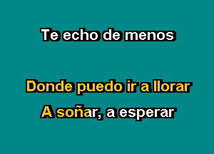 Te echo de menos

Donde puedo ir a llorar

A soriar, a esperar