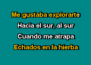 Me gustaba explorarte

Hacia el sur, al sur

Cuando me atrapa

Echados en la hierba