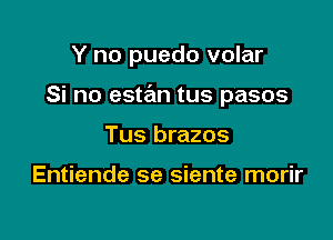 Y no puedo volar

Si no estan tus pasos

Tus brazos

Entiende se siente morir