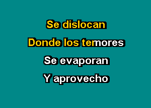 Se dislocan

Donde los temores

Se evaporan

Y aprovecho