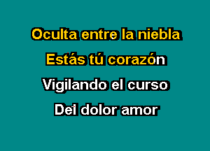 Oculta entre la niebla

Estas tL'J corazdn

Vigilando el curso

De'i dolor amor