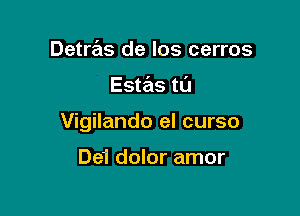 Detras de los cerros

Estas tCl

Vigilando el curso

De'i dolor amor