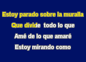 Estoy parado sobre la muralla
Que divide todo lo que
Amt'e de lo que amart'e

Estoy mirando como