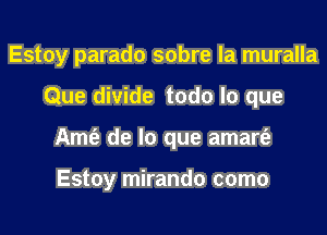 Estoy parado sobre la muralla
Que divide todo lo que
Amt'e de lo que amart'e

Estoy mirando como