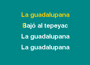 La guadalupana

Bajc') al tepeyac

La guadalupana

La guadalupana