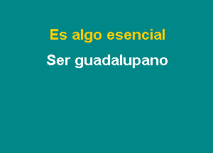 Es algo esencial

Ser guadalupano