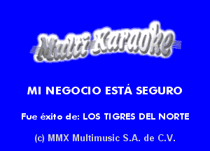 Ml NEGOCIO ESTA SEGURO

Fue e'sxifo dcz LOS TIGRES DEL NORTE

(c) MMX Multimusic SA. de C.V.
