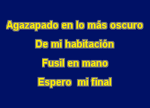 Agazapado en lo mas oscuro
De mi habitacibn

Fusil en mano

Espero mi final