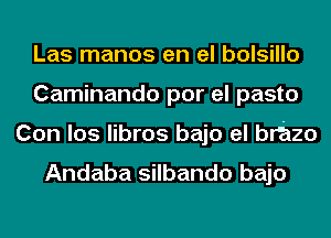 Las manos en el bolsillo
Caminando por el pasto
Con los libros bajo el brhzo

Andaba silbando bajo