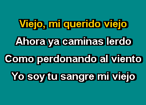 Viejo, mi querido viejo
Ahora ya caminas lerdo
Como perdonando al viento

Yo soy tu sangre mi viejo