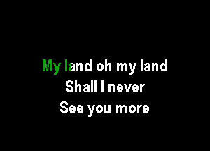My land oh my land

Shall I never
See you more
