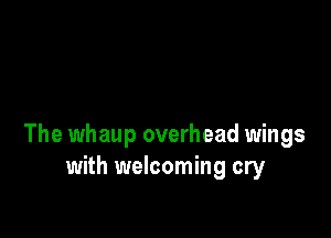 The whaup overhead wings
with welcoming cry