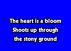 The heart is a bloom

Shoots up through

the stony ground