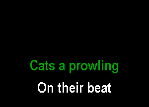 Cats a prowling
On their beat