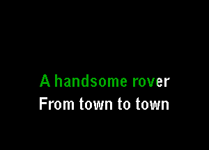 A handsome rover
From town to town