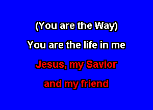 (You are the Way)

You are the life in me