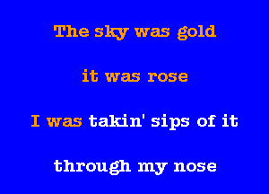 The sky was gold
it was rose
I was takin' sips of it

through my nose