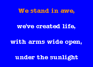 We stand in awe,
wekre created life,
with arms wide open,

under the sunlight