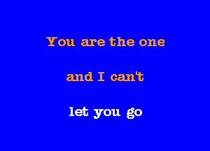 You are the one

and I cant

let you go