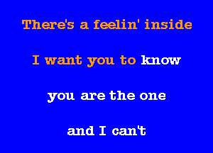 There's a feelin' inside
I want you to know
you are the one

and I canlb