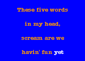 These five words
in my head,

scream are we

havin' fun yet