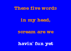 These five words
in my head,

scream are we

havin' fun yet