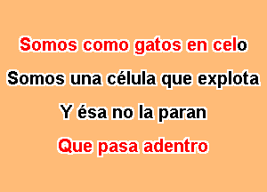 Somos como gatos en celo
Somos una c(elula que explota
Y (esa no la paran

Que pasa adentro