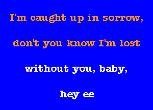 I'm caught up in sorrow,
donlt you know I'm lost
without you, baby,

heyee