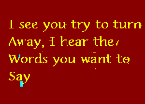 I see you try to turn
Away, i hear they

Words you weint to.

Sally