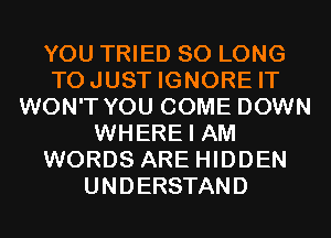 YOU TRIED SO LONG
TOJUST IGNORE IT
WON'T YOU COME DOWN
WHERE I AM
WORDS ARE HIDDEN
UNDERSTAND
