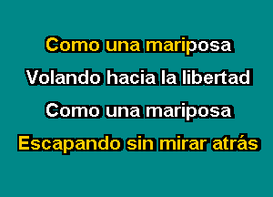 Como una mariposa
Volando hacia la libertad
Como una mariposa

Escapando sin mirar atras