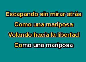 Escapando sin mirar atras
Como una mariposa
Volando hacia la libertad

Como una mariposa