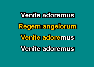 Venite adoremus

Regem angelorum

Venite adoremus

Venite adoremus