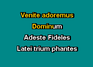 Venite adoremus
Dominum
Adeste Fideles

Latei trium phantes