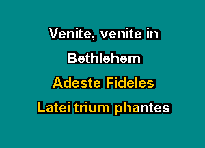 Venite, venite in
Bethlehem
Adeste Fideles

Latei trium phantes
