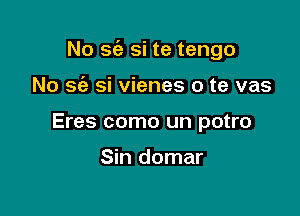 No Si) Si te tengo

No se'z si vienes o te vas
Eres como un potro

Sin domar