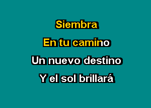 Siembra

En tu camino

Un nuevo destino

Y el sol brillartit